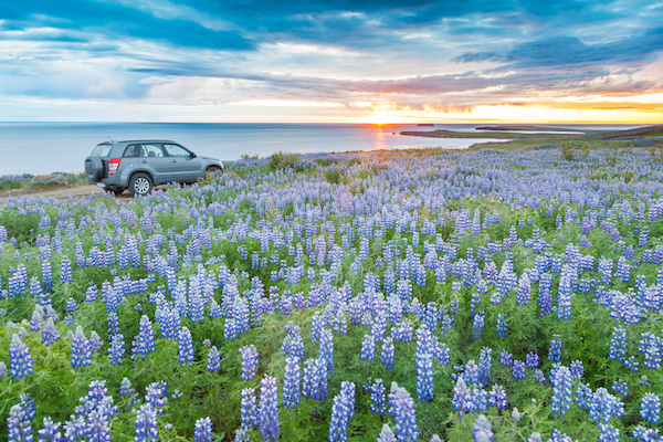 Get Your Car Ready for Spring