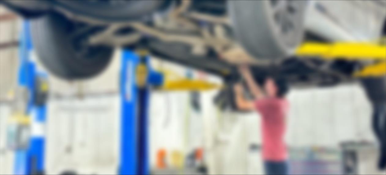 BlurryAnt-slideshow(1262x571)